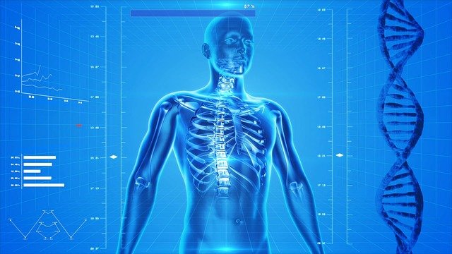 Edema midollare osseo: che cos’è? Quali sono i sintomi e i rimedi?