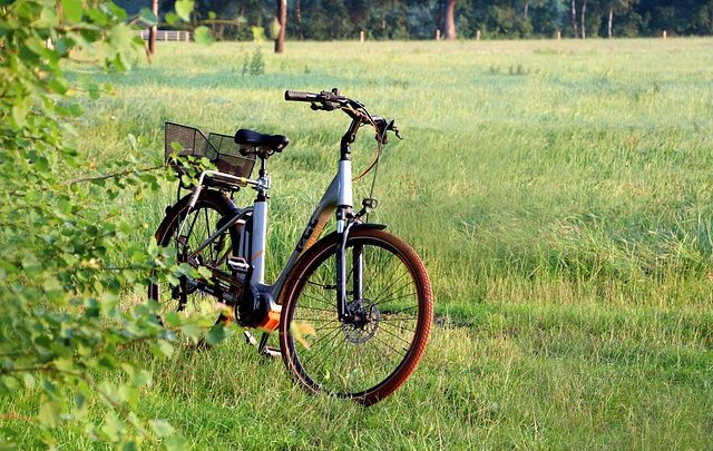 Bici Smart: ecco i modelli più venduti e i loro costi