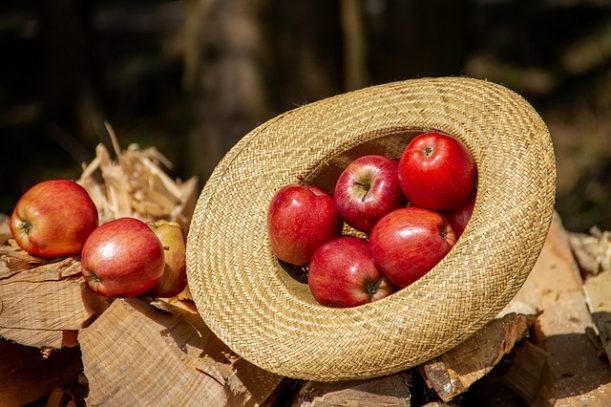 Cappello di paglia: quali sono i migliori modelli in vendita? Quanto costano?