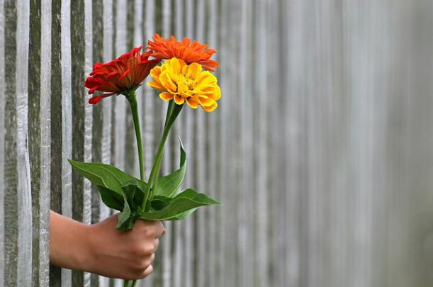 Insieme di fiori: ecco come fare dei mazzi da regalare