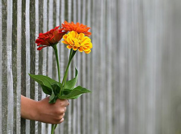 Insieme di fiori: ecco come fare dei mazzi da regalare