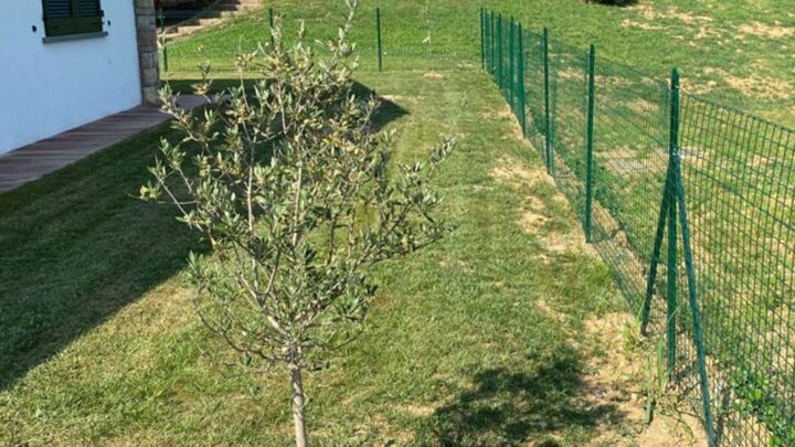 Come migliorare la sicurezza degli ambienti outdoor grazie alle recinzioni