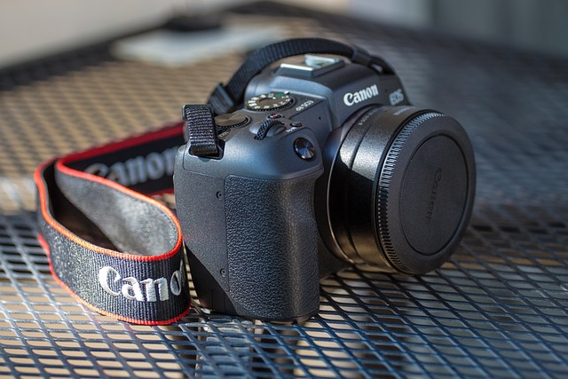 Ecco perché le Canon mirrorless sono le migliori macchine fotografiche sul mercato