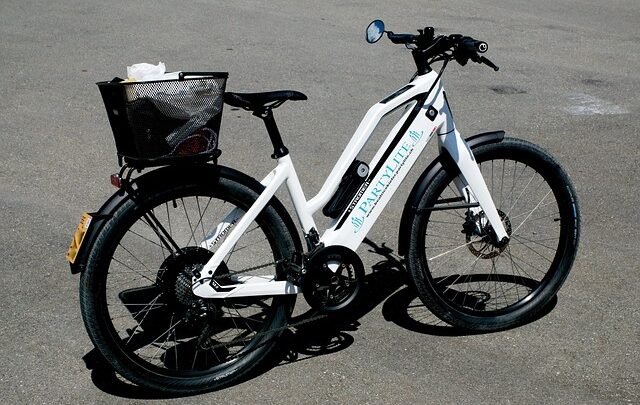 Vendita bici elettriche: perché sempre più persone decidono di acquistarle online?