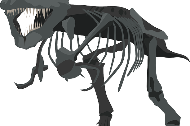 Furono i primi paleontologi: chi sono stati i pionieri di questa disciplina? Per cosa sono noti?