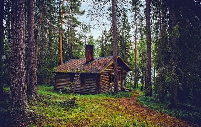 Casa nel bosco: come scegliere l’arredamento giusto?