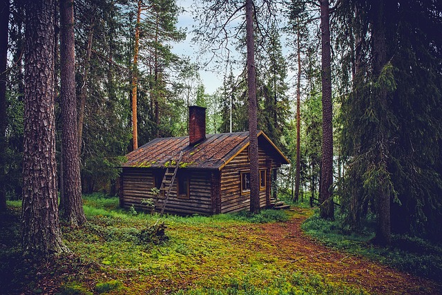 Casa nel bosco: come scegliere l’arredamento giusto?