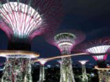 Singapore green: sky-garden e parchi verticali nella città del futuro