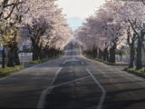 Perché viaggiare in primavera è sempre una buona idea