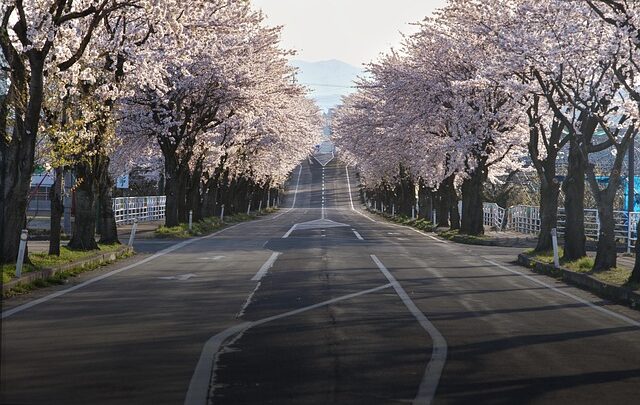 Perché viaggiare in primavera è sempre una buona idea