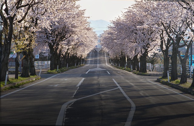Perché viaggiare in primavera è sempre una buona idea Perché viaggiare in primavera è sempre una buona idea